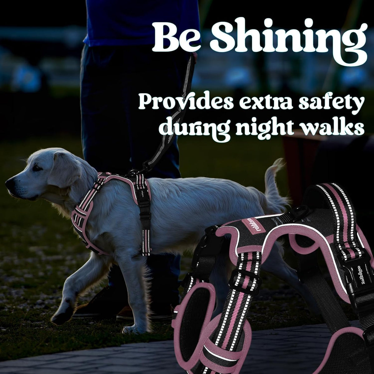 Dog Harness for Large, Updated Easy On & Off with 3 Buckles | No Pull No Choke, Walking with 2 Clips and Handle, Adjustable Soft Reflective, Blue, Large