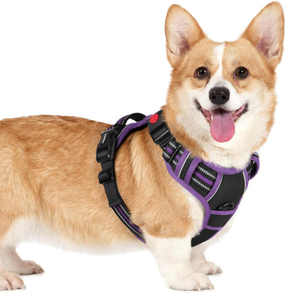 Dog Harness for Large, Updated Easy On & Off with 3 Buckles | No Pull No Choke, Walking with 2 Clips and Handle, Adjustable Soft Reflective, Blue, Large