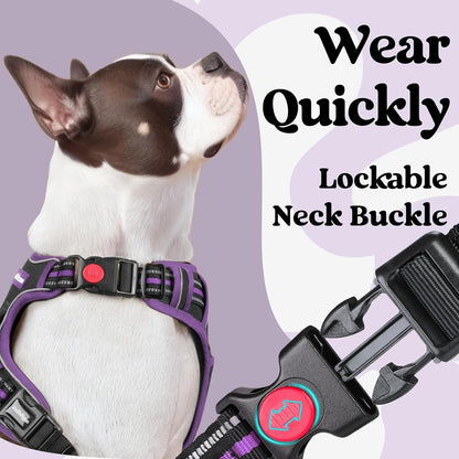 Dog Harness for Large, Updated Easy On & Off with 3 Buckles | No Pull No Choke, Walking with 2 Clips and Handle, Adjustable Soft Reflective, Blue, Large