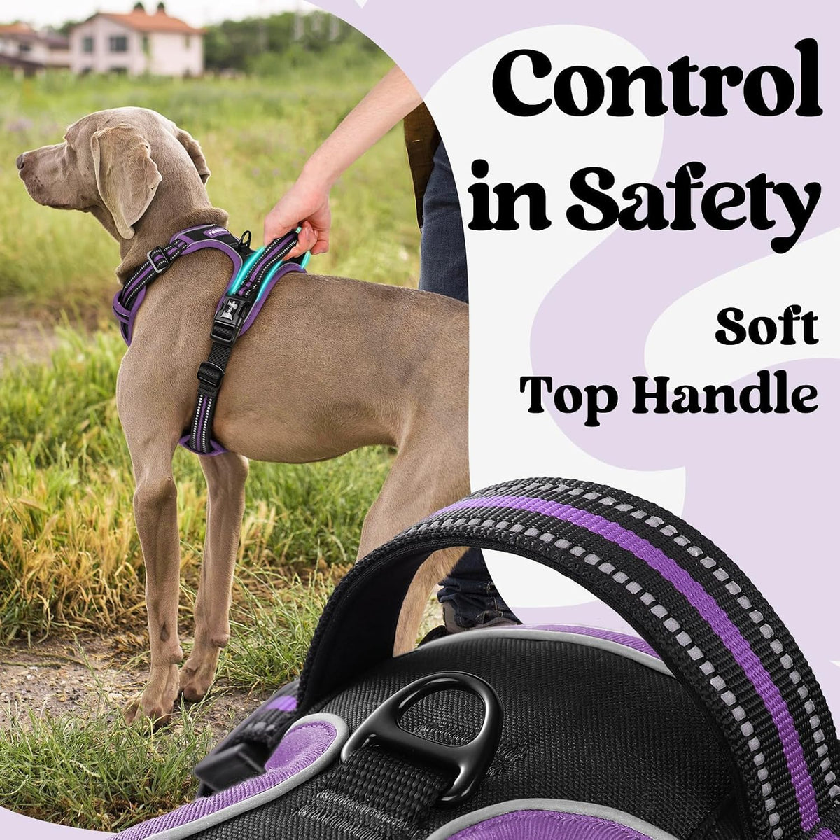 Dog Harness for Large, Updated Easy On & Off with 3 Buckles | No Pull No Choke, Walking with 2 Clips and Handle, Adjustable Soft Reflective, Blue, Large