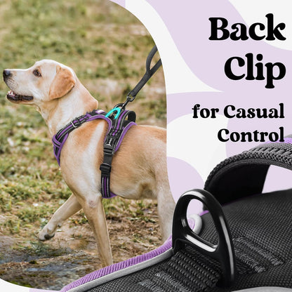 Dog Harness for Large, Updated Easy On & Off with 3 Buckles | No Pull No Choke, Walking with 2 Clips and Handle, Adjustable Soft Reflective, Blue, Large