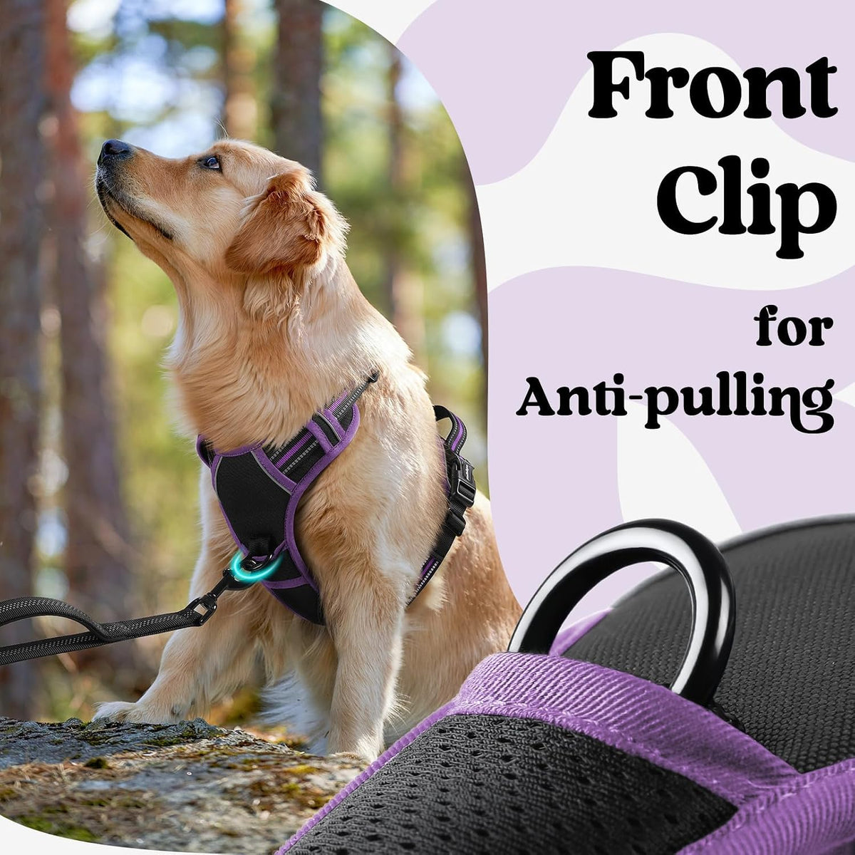 Dog Harness for Large, Updated Easy On & Off with 3 Buckles | No Pull No Choke, Walking with 2 Clips and Handle, Adjustable Soft Reflective, Blue, Large