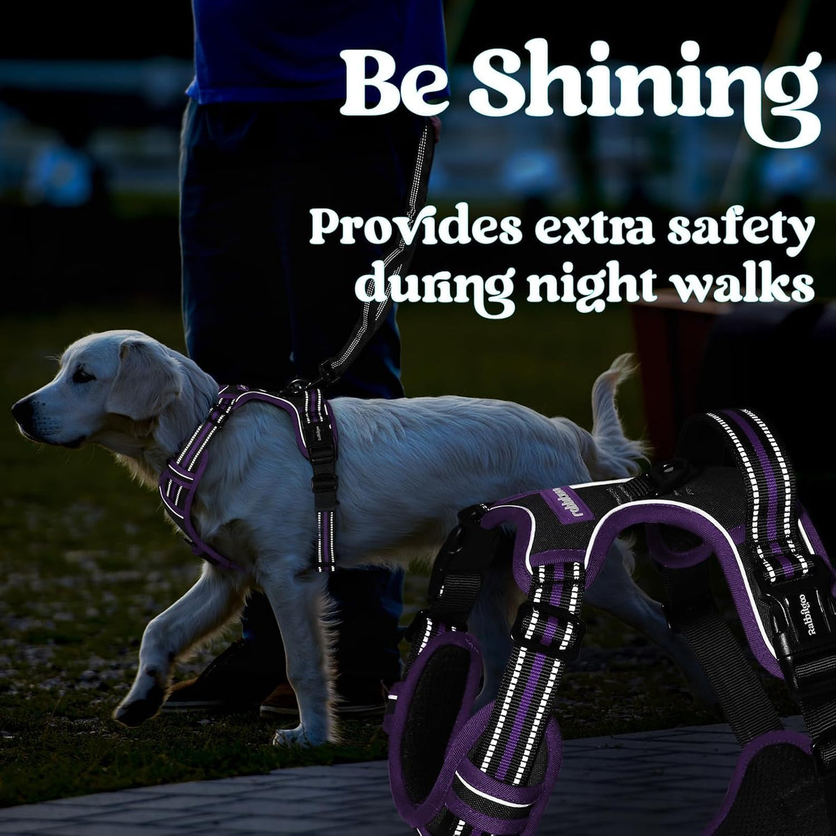 Dog Harness for Large, Updated Easy On & Off with 3 Buckles | No Pull No Choke, Walking with 2 Clips and Handle, Adjustable Soft Reflective, Blue, Large