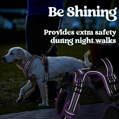 Dog Harness for Large, Updated Easy On & Off with 3 Buckles | No Pull No Choke, Walking with 2 Clips and Handle, Adjustable Soft Reflective, Blue, Large