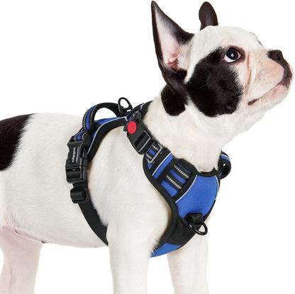 Dog Harness for Large, Updated Easy On & Off with 3 Buckles | No Pull No Choke, Walking with 2 Clips and Handle, Adjustable Soft Reflective, Blue, Large