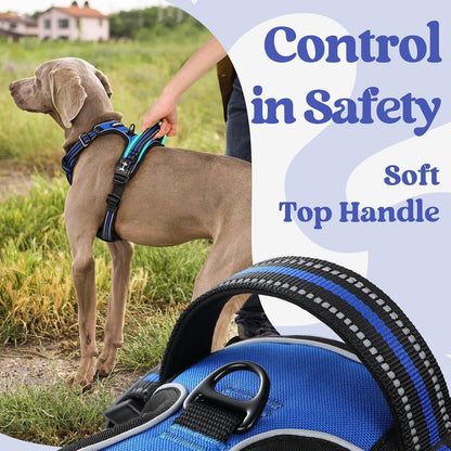 Dog Harness for Large, Updated Easy On & Off with 3 Buckles | No Pull No Choke, Walking with 2 Clips and Handle, Adjustable Soft Reflective, Blue, Large