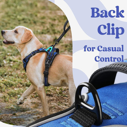 Dog Harness for Large, Updated Easy On & Off with 3 Buckles | No Pull No Choke, Walking with 2 Clips and Handle, Adjustable Soft Reflective, Blue, Large