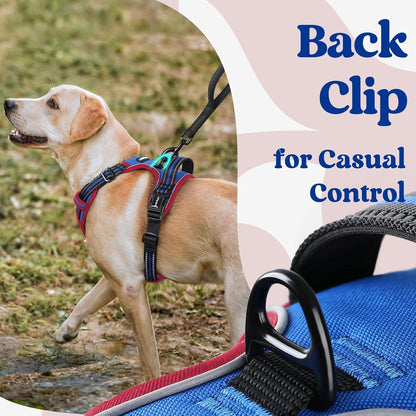 Dog Harness for Large, Updated Easy On & Off with 3 Buckles | No Pull No Choke, Walking with 2 Clips and Handle, Adjustable Soft Reflective, Blue, Large
