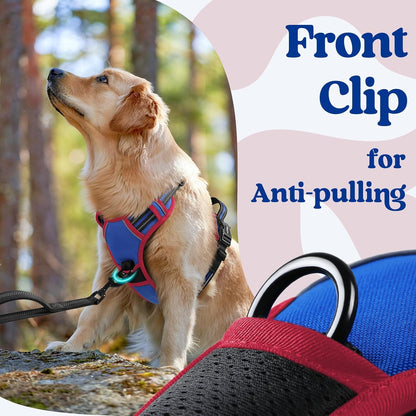 Dog Harness for Large, Updated Easy On & Off with 3 Buckles | No Pull No Choke, Walking with 2 Clips and Handle, Adjustable Soft Reflective, Blue, Large