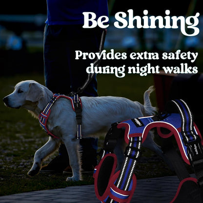Dog Harness for Large, Updated Easy On & Off with 3 Buckles | No Pull No Choke, Walking with 2 Clips and Handle, Adjustable Soft Reflective, Blue, Large