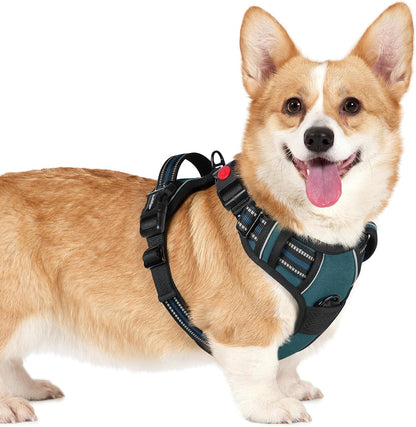 Dog Harness for Large, Updated Easy On & Off with 3 Buckles | No Pull No Choke, Walking with 2 Clips and Handle, Adjustable Soft Reflective, Blue, Large