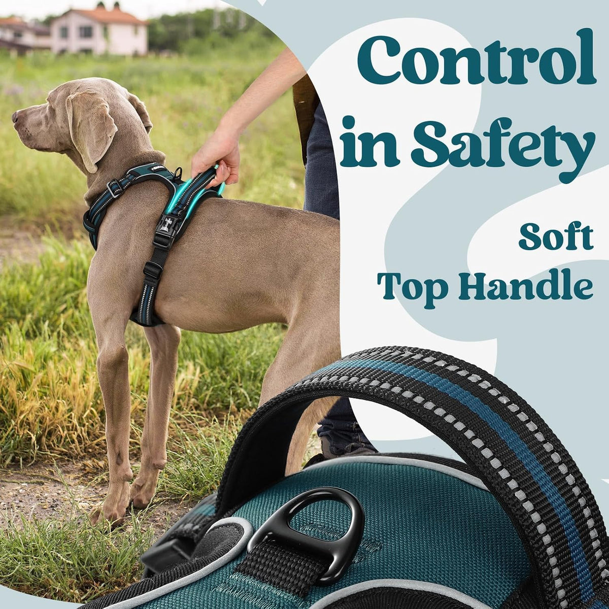 Dog Harness for Large, Updated Easy On & Off with 3 Buckles | No Pull No Choke, Walking with 2 Clips and Handle, Adjustable Soft Reflective, Blue, Large