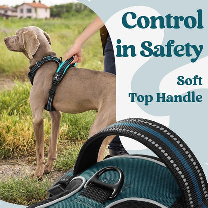 Dog Harness for Large, Updated Easy On & Off with 3 Buckles | No Pull No Choke, Walking with 2 Clips and Handle, Adjustable Soft Reflective, Blue, Large