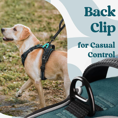 Dog Harness for Large, Updated Easy On & Off with 3 Buckles | No Pull No Choke, Walking with 2 Clips and Handle, Adjustable Soft Reflective, Blue, Large