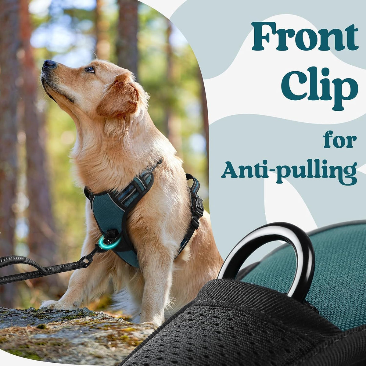 Dog Harness for Large, Updated Easy On & Off with 3 Buckles | No Pull No Choke, Walking with 2 Clips and Handle, Adjustable Soft Reflective, Blue, Large