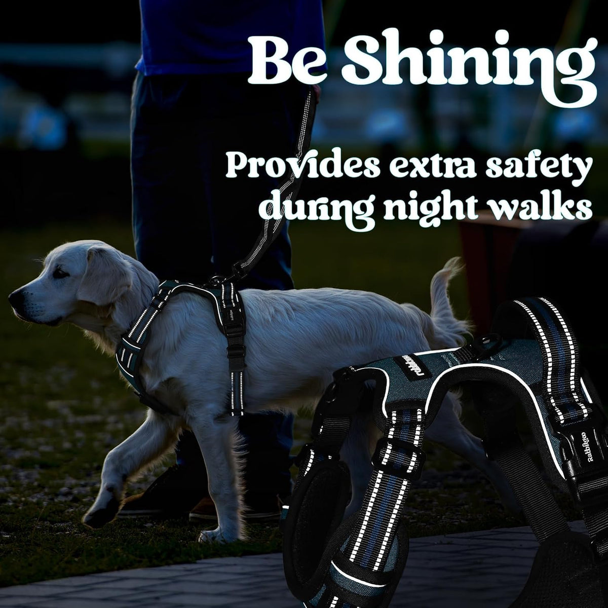 Dog Harness for Large, Updated Easy On & Off with 3 Buckles | No Pull No Choke, Walking with 2 Clips and Handle, Adjustable Soft Reflective, Blue, Large