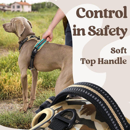 Dog Harness for Large, Updated Easy On & Off with 3 Buckles | No Pull No Choke, Walking with 2 Clips and Handle, Adjustable Soft Reflective, Blue, Large