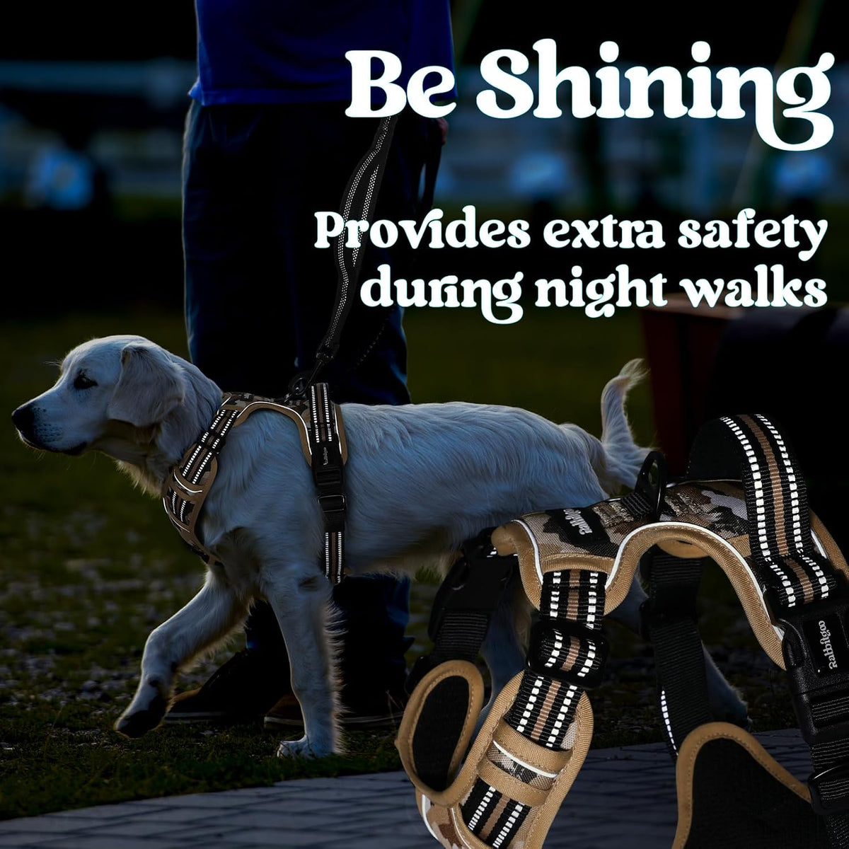 Dog Harness for Large, Updated Easy On & Off with 3 Buckles | No Pull No Choke, Walking with 2 Clips and Handle, Adjustable Soft Reflective, Blue, Large