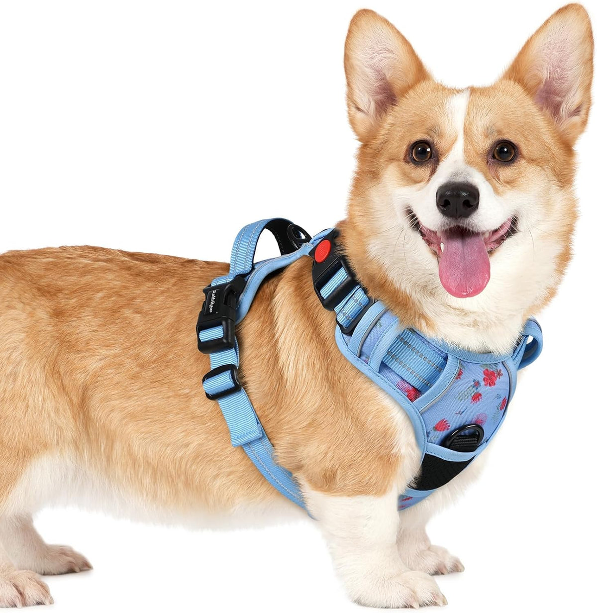 Dog Harness for Large, Updated Easy On & Off with 3 Buckles | No Pull No Choke, Walking with 2 Clips and Handle, Adjustable Soft Reflective, Blue, Large