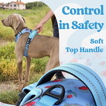 Dog Harness for Large, Updated Easy On & Off with 3 Buckles | No Pull No Choke, Walking with 2 Clips and Handle, Adjustable Soft Reflective, Blue, Large