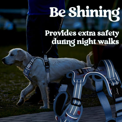 Dog Harness for Large, Updated Easy On & Off with 3 Buckles | No Pull No Choke, Walking with 2 Clips and Handle, Adjustable Soft Reflective, Blue, Large
