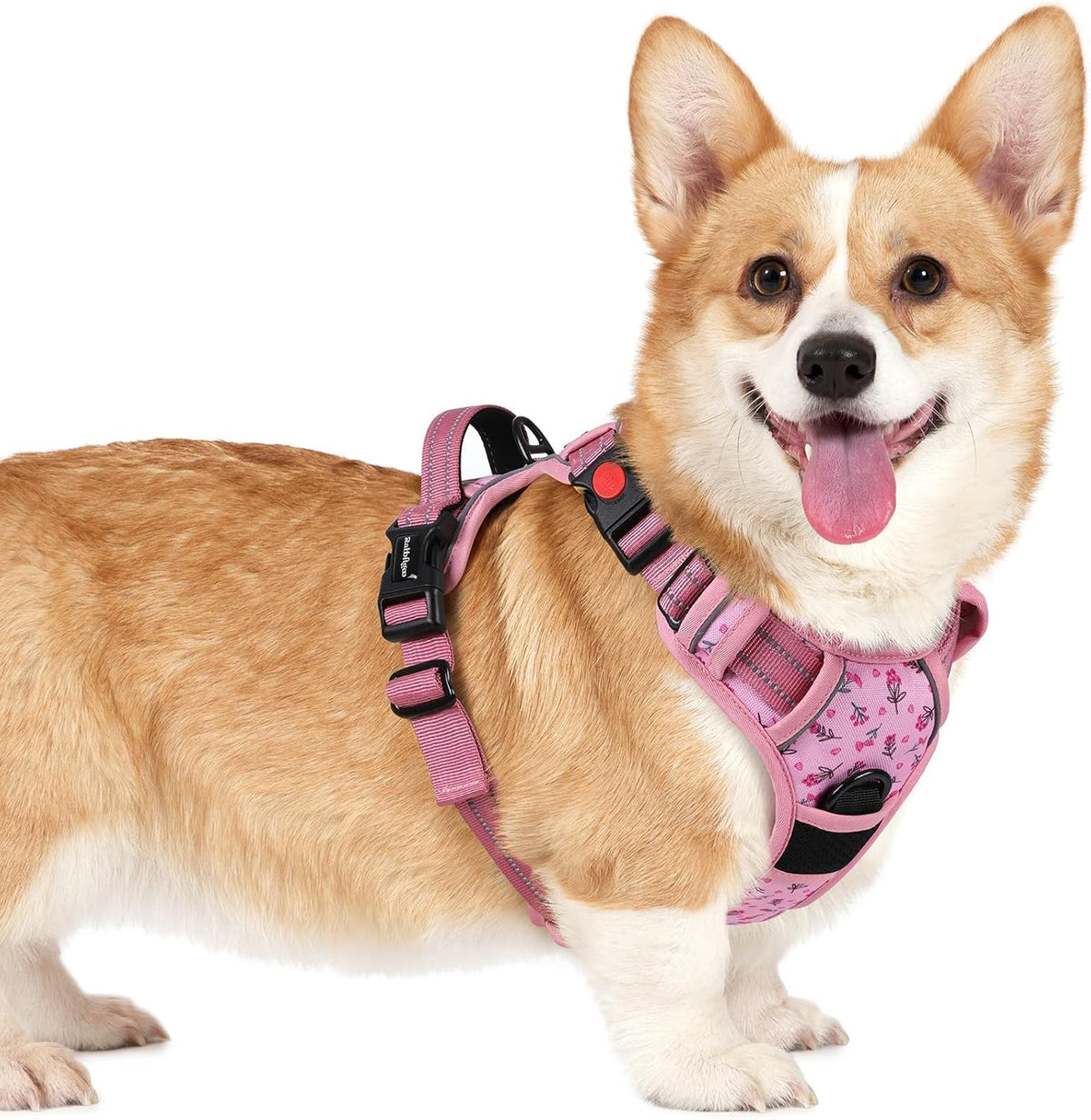 Dog Harness for Large, Updated Easy On & Off with 3 Buckles | No Pull No Choke, Walking with 2 Clips and Handle, Adjustable Soft Reflective, Blue, Large