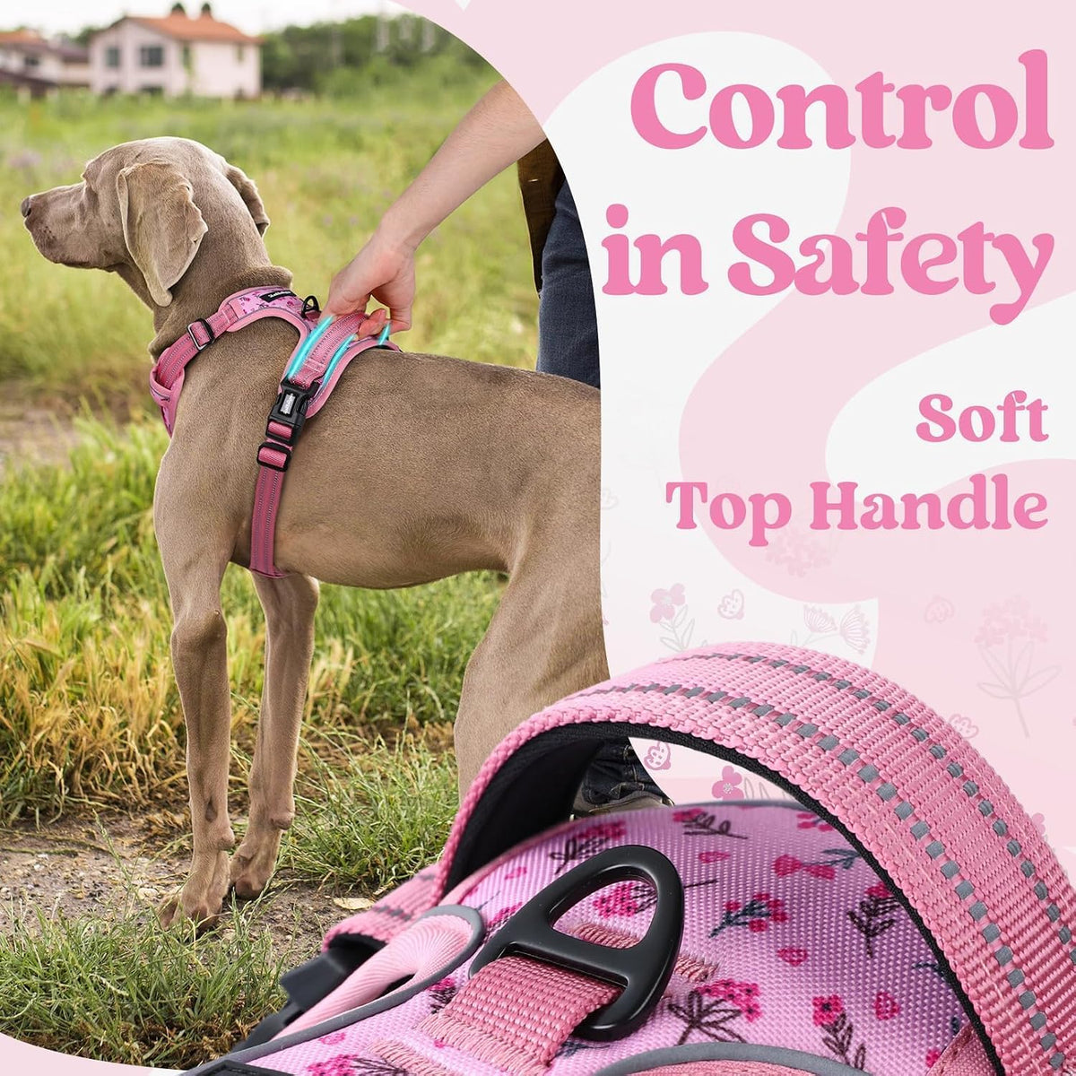 Dog Harness for Large, Updated Easy On & Off with 3 Buckles | No Pull No Choke, Walking with 2 Clips and Handle, Adjustable Soft Reflective, Blue, Large