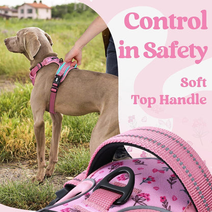 Dog Harness for Large, Updated Easy On & Off with 3 Buckles | No Pull No Choke, Walking with 2 Clips and Handle, Adjustable Soft Reflective, Blue, Large