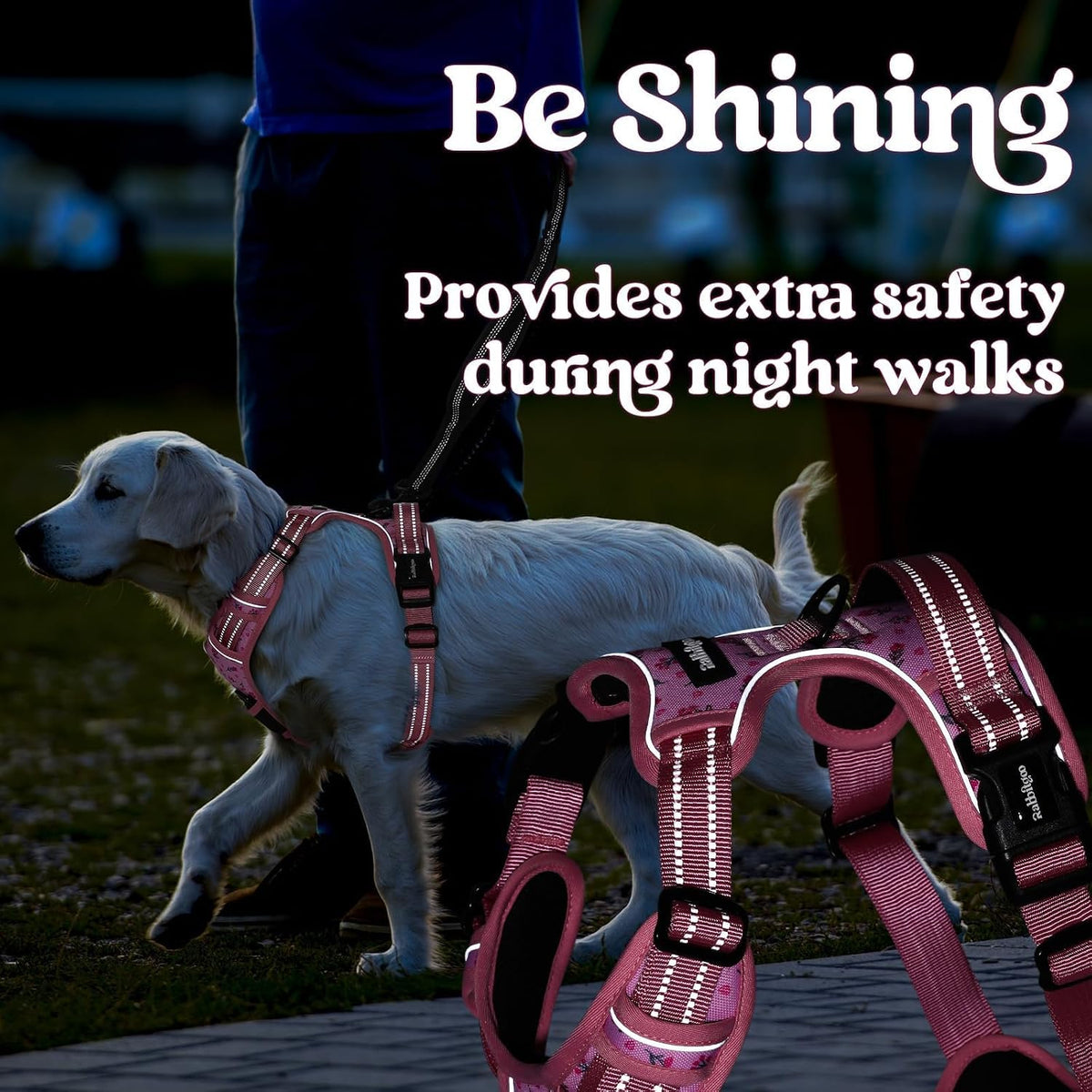 Dog Harness for Large, Updated Easy On & Off with 3 Buckles | No Pull No Choke, Walking with 2 Clips and Handle, Adjustable Soft Reflective, Blue, Large