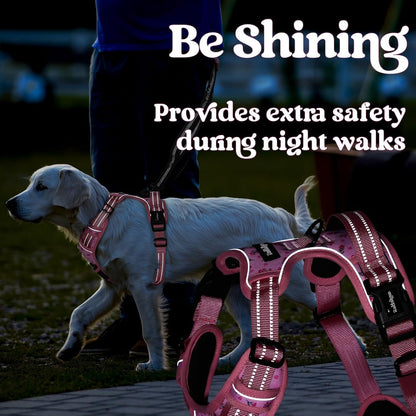 Dog Harness for Large, Updated Easy On & Off with 3 Buckles | No Pull No Choke, Walking with 2 Clips and Handle, Adjustable Soft Reflective, Blue, Large