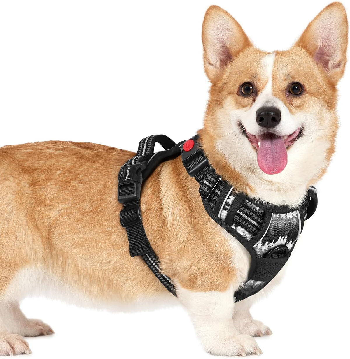 Dog Harness for Large, Updated Easy On & Off with 3 Buckles | No Pull No Choke, Walking with 2 Clips and Handle, Adjustable Soft Reflective, Blue, Large
