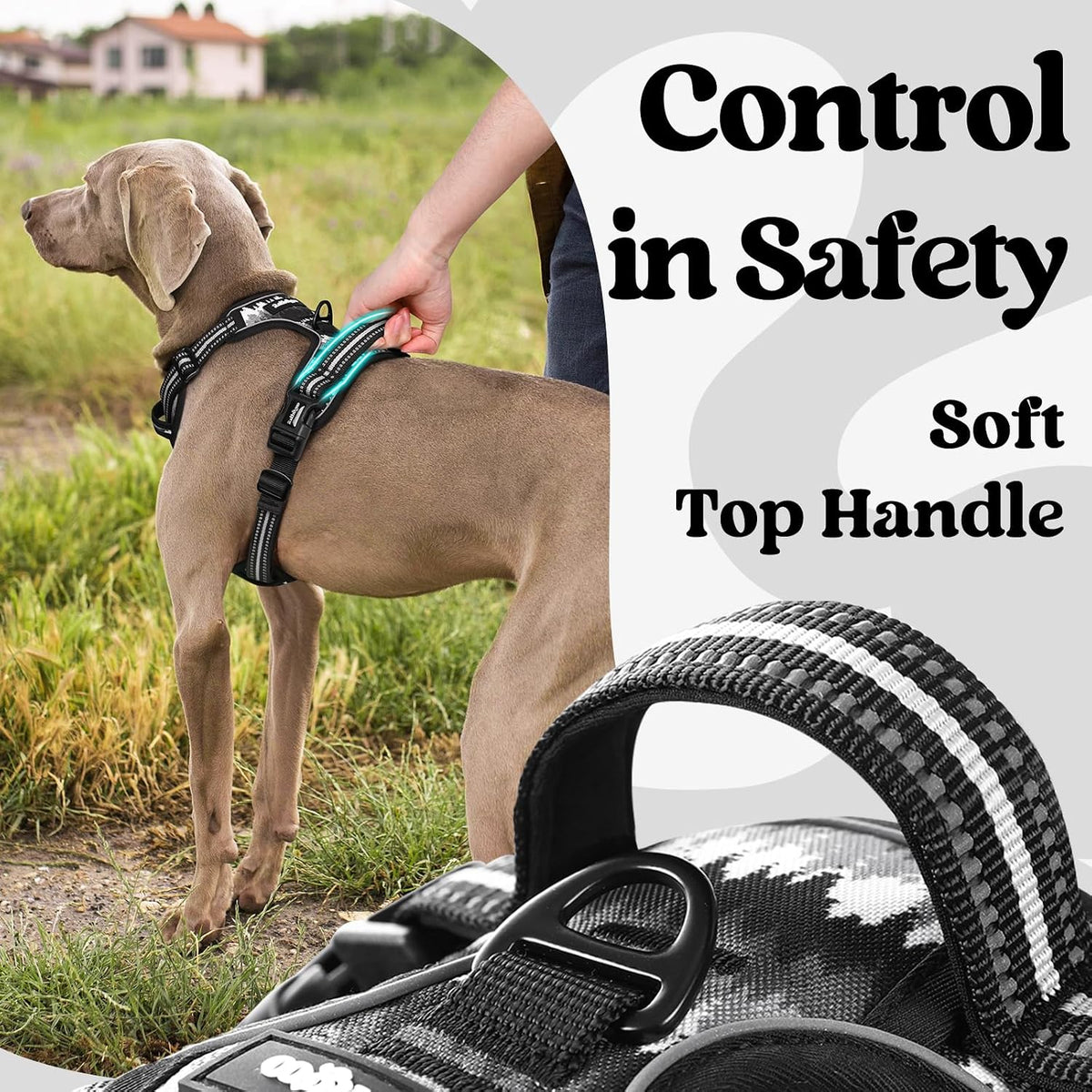 Dog Harness for Large, Updated Easy On & Off with 3 Buckles | No Pull No Choke, Walking with 2 Clips and Handle, Adjustable Soft Reflective, Blue, Large
