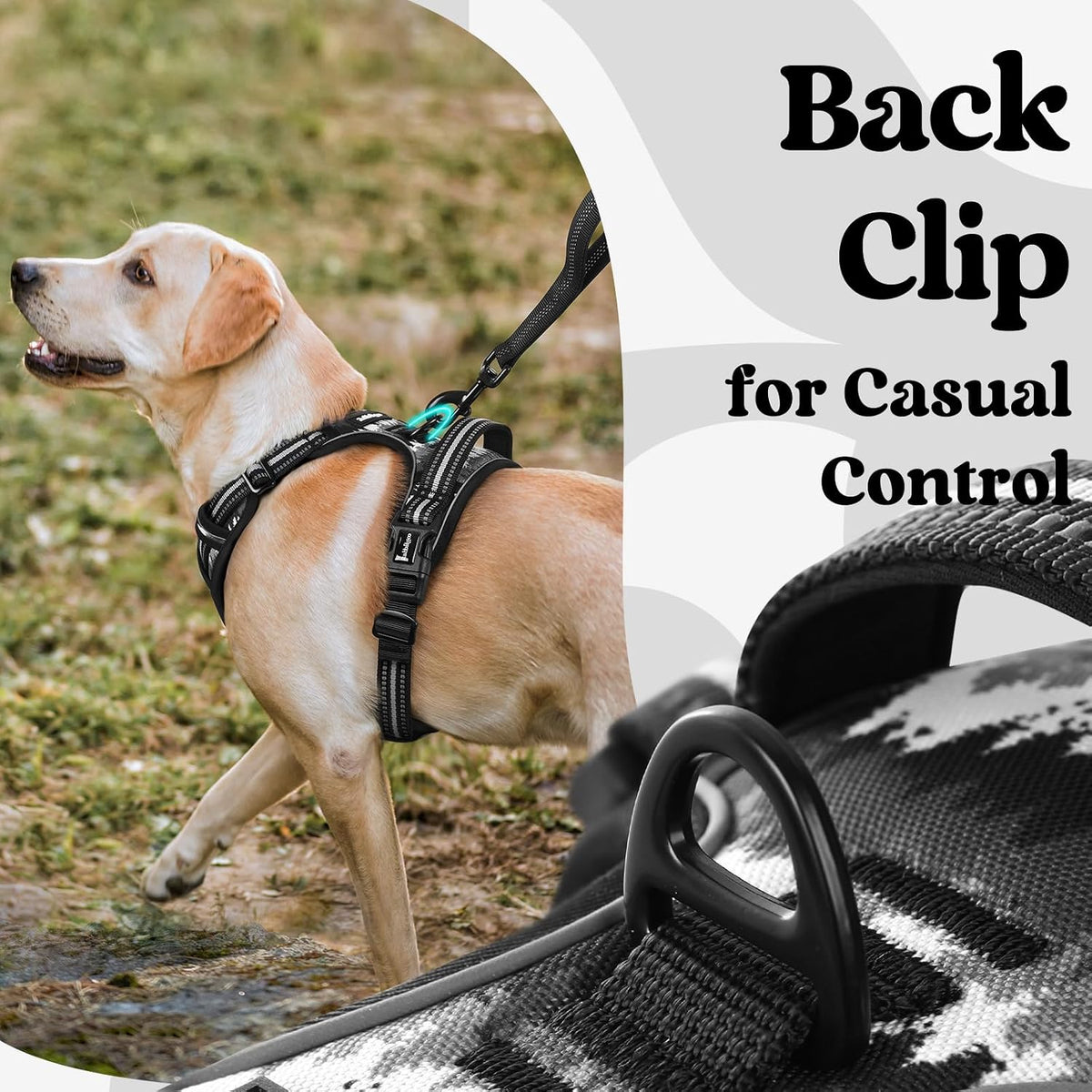 Dog Harness for Large, Updated Easy On & Off with 3 Buckles | No Pull No Choke, Walking with 2 Clips and Handle, Adjustable Soft Reflective, Blue, Large