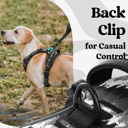 Dog Harness for Large, Updated Easy On & Off with 3 Buckles | No Pull No Choke, Walking with 2 Clips and Handle, Adjustable Soft Reflective, Blue, Large