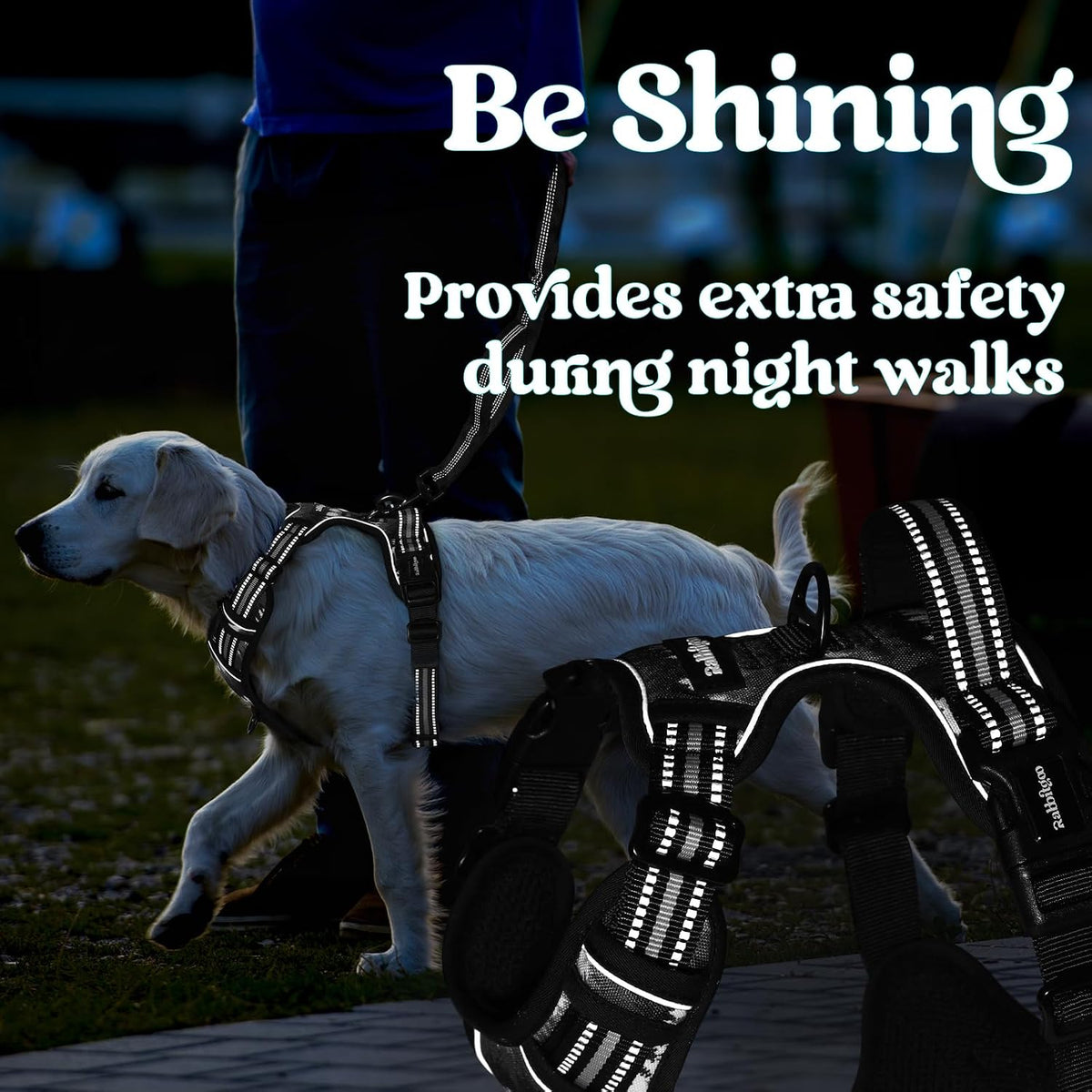 Dog Harness for Large, Updated Easy On & Off with 3 Buckles | No Pull No Choke, Walking with 2 Clips and Handle, Adjustable Soft Reflective, Blue, Large