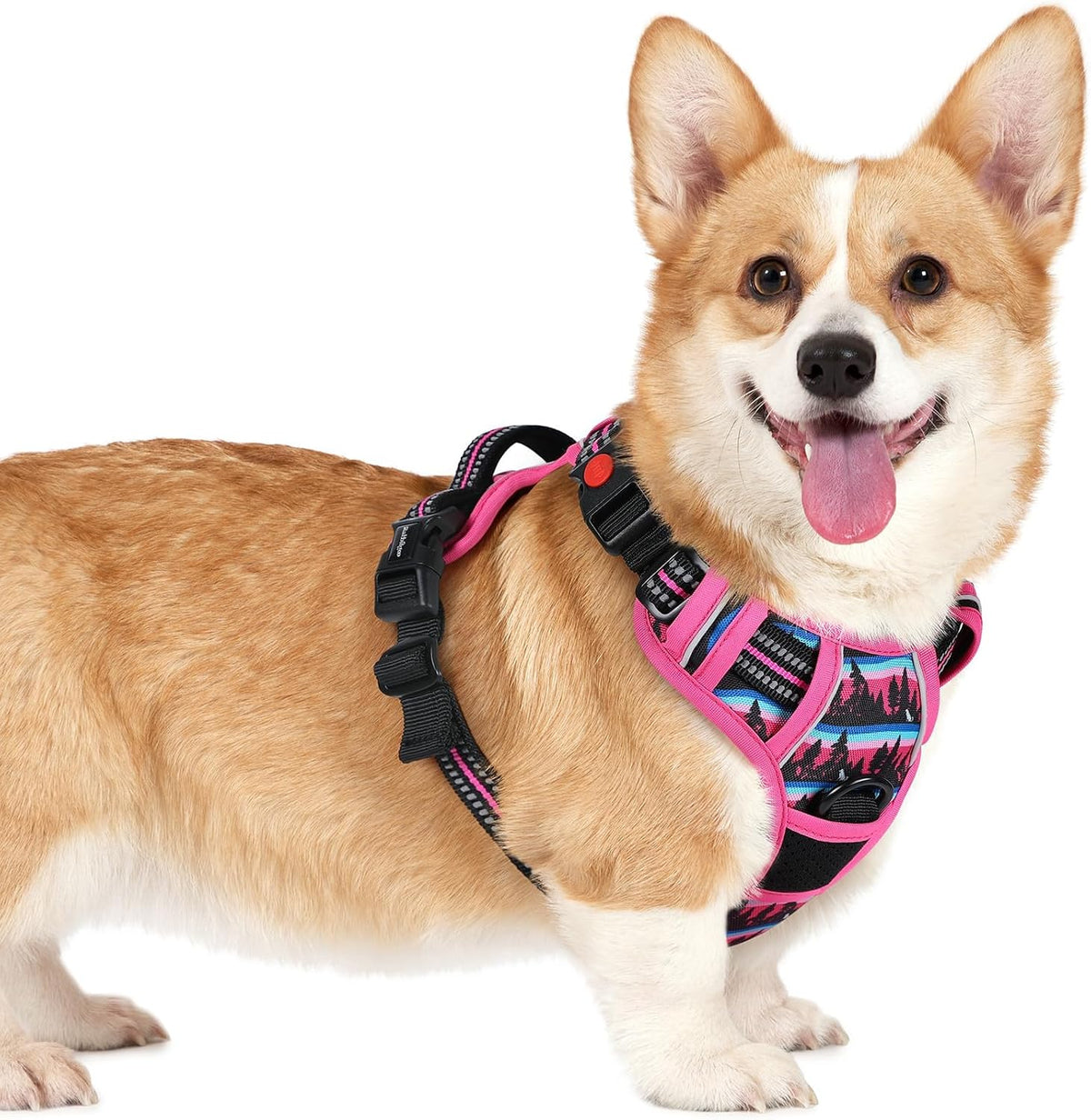 Dog Harness for Large, Updated Easy On & Off with 3 Buckles | No Pull No Choke, Walking with 2 Clips and Handle, Adjustable Soft Reflective, Blue, Large