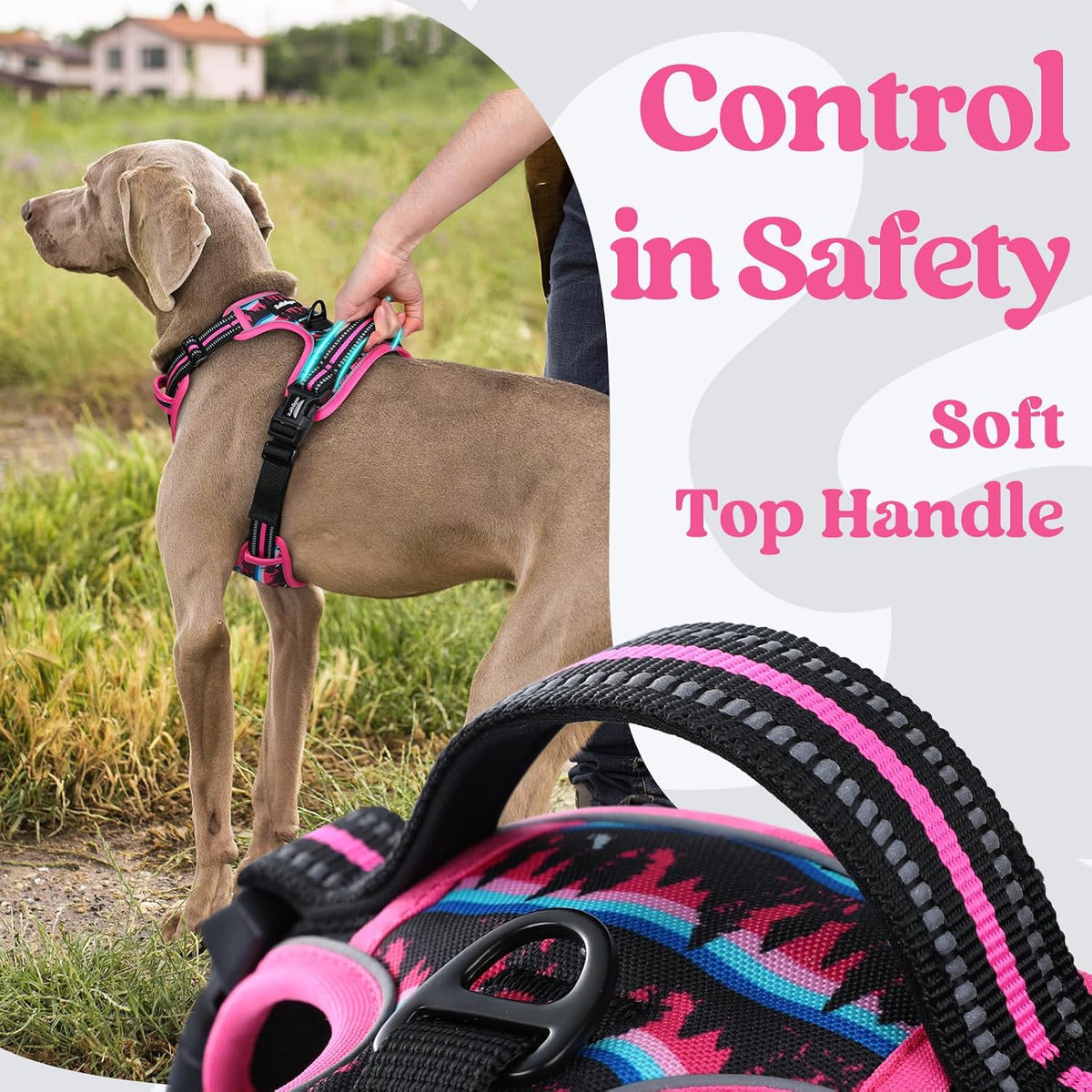 Dog Harness for Large, Updated Easy On & Off with 3 Buckles | No Pull No Choke, Walking with 2 Clips and Handle, Adjustable Soft Reflective, Blue, Large