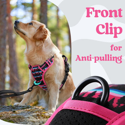 Dog Harness for Large, Updated Easy On & Off with 3 Buckles | No Pull No Choke, Walking with 2 Clips and Handle, Adjustable Soft Reflective, Blue, Large
