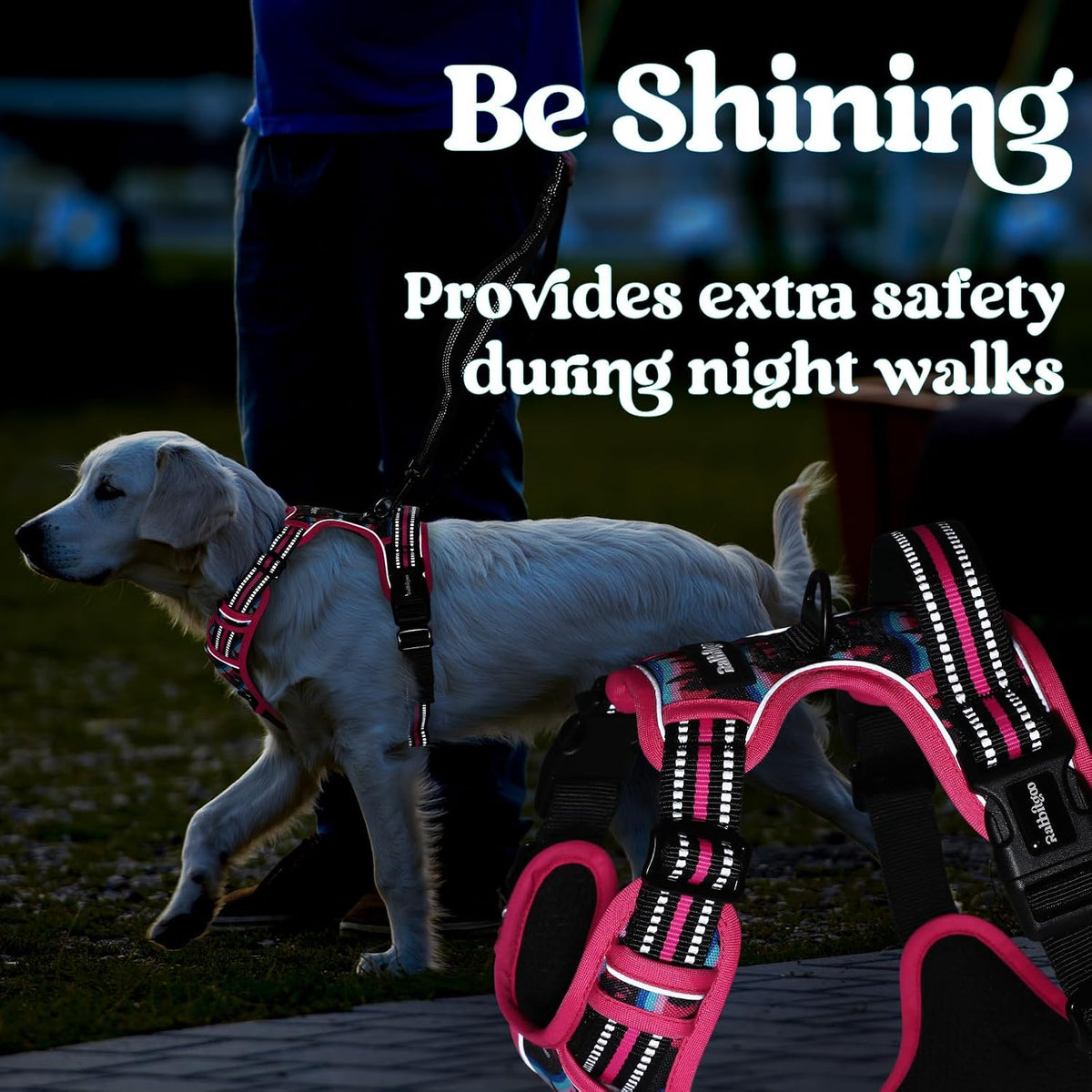 Dog Harness for Large, Updated Easy On & Off with 3 Buckles | No Pull No Choke, Walking with 2 Clips and Handle, Adjustable Soft Reflective, Blue, Large