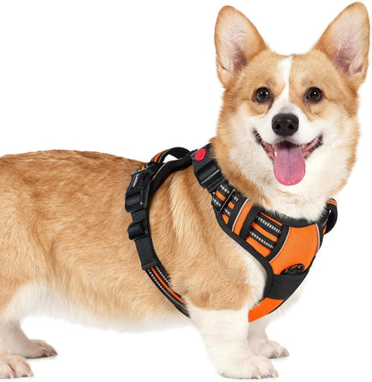 Dog Harness for Large, Updated Easy On & Off with 3 Buckles | No Pull No Choke, Walking with 2 Clips and Handle, Adjustable Soft Reflective, Blue, Large