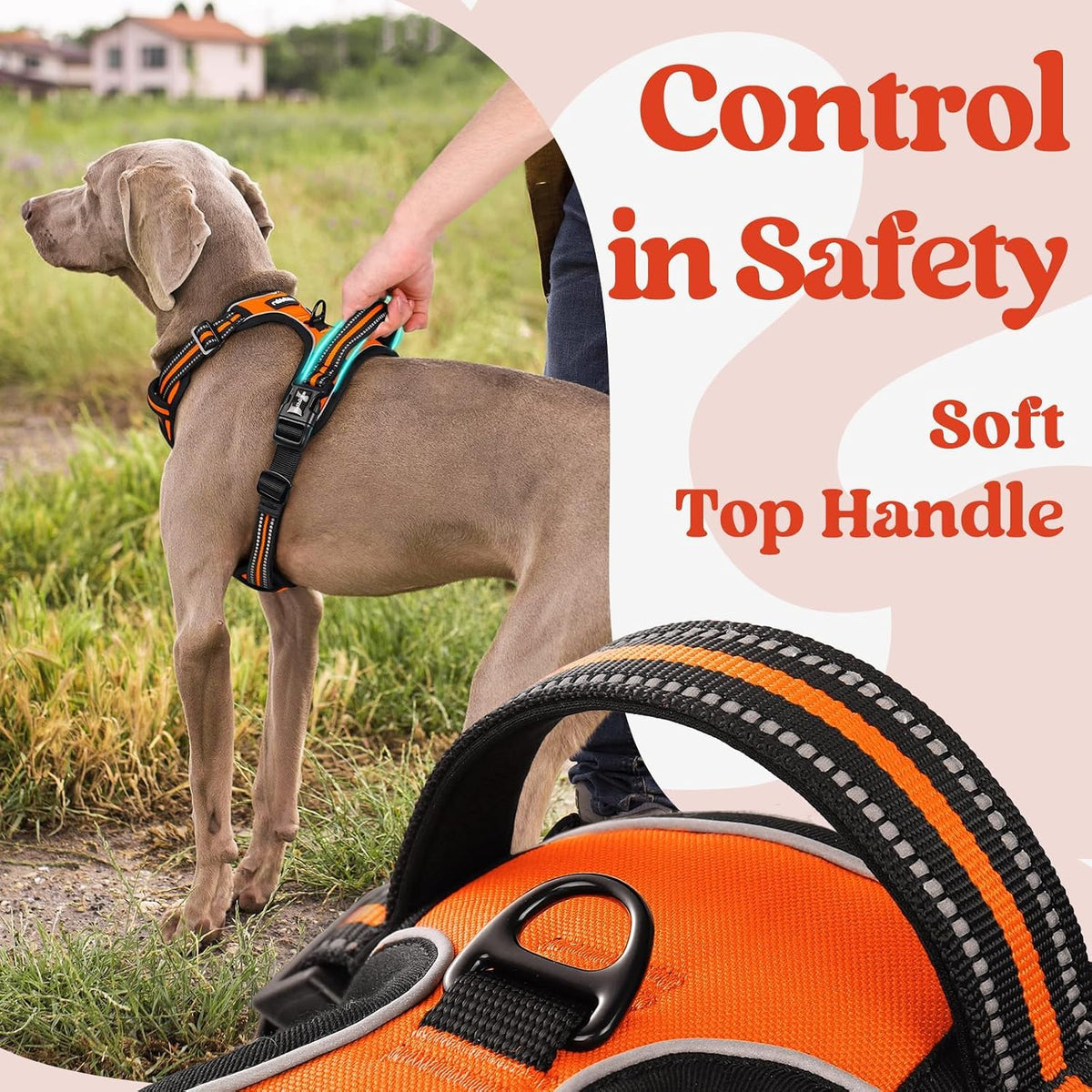 Dog Harness for Large, Updated Easy On & Off with 3 Buckles | No Pull No Choke, Walking with 2 Clips and Handle, Adjustable Soft Reflective, Blue, Large