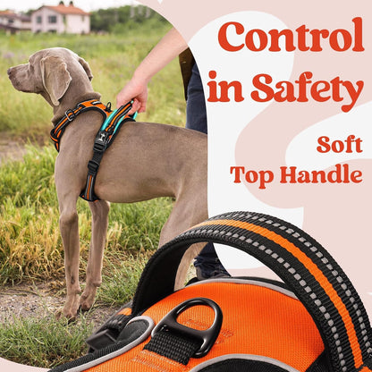 Dog Harness for Large, Updated Easy On & Off with 3 Buckles | No Pull No Choke, Walking with 2 Clips and Handle, Adjustable Soft Reflective, Blue, Large