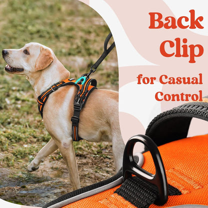 Dog Harness for Large, Updated Easy On & Off with 3 Buckles | No Pull No Choke, Walking with 2 Clips and Handle, Adjustable Soft Reflective, Blue, Large