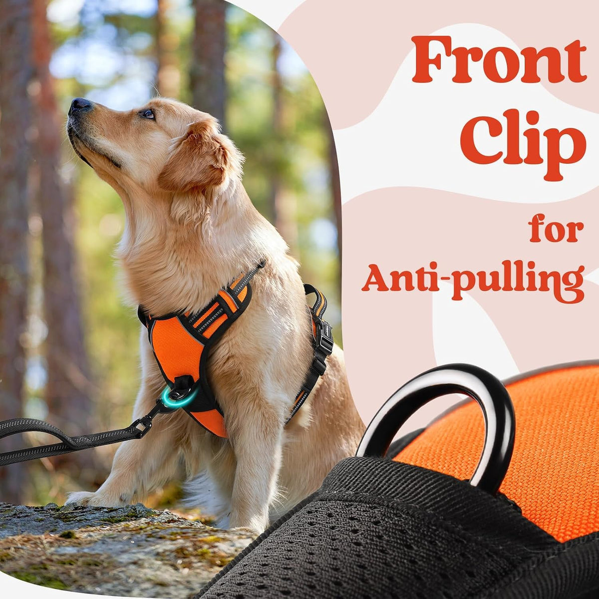 Dog Harness for Large, Updated Easy On & Off with 3 Buckles | No Pull No Choke, Walking with 2 Clips and Handle, Adjustable Soft Reflective, Blue, Large