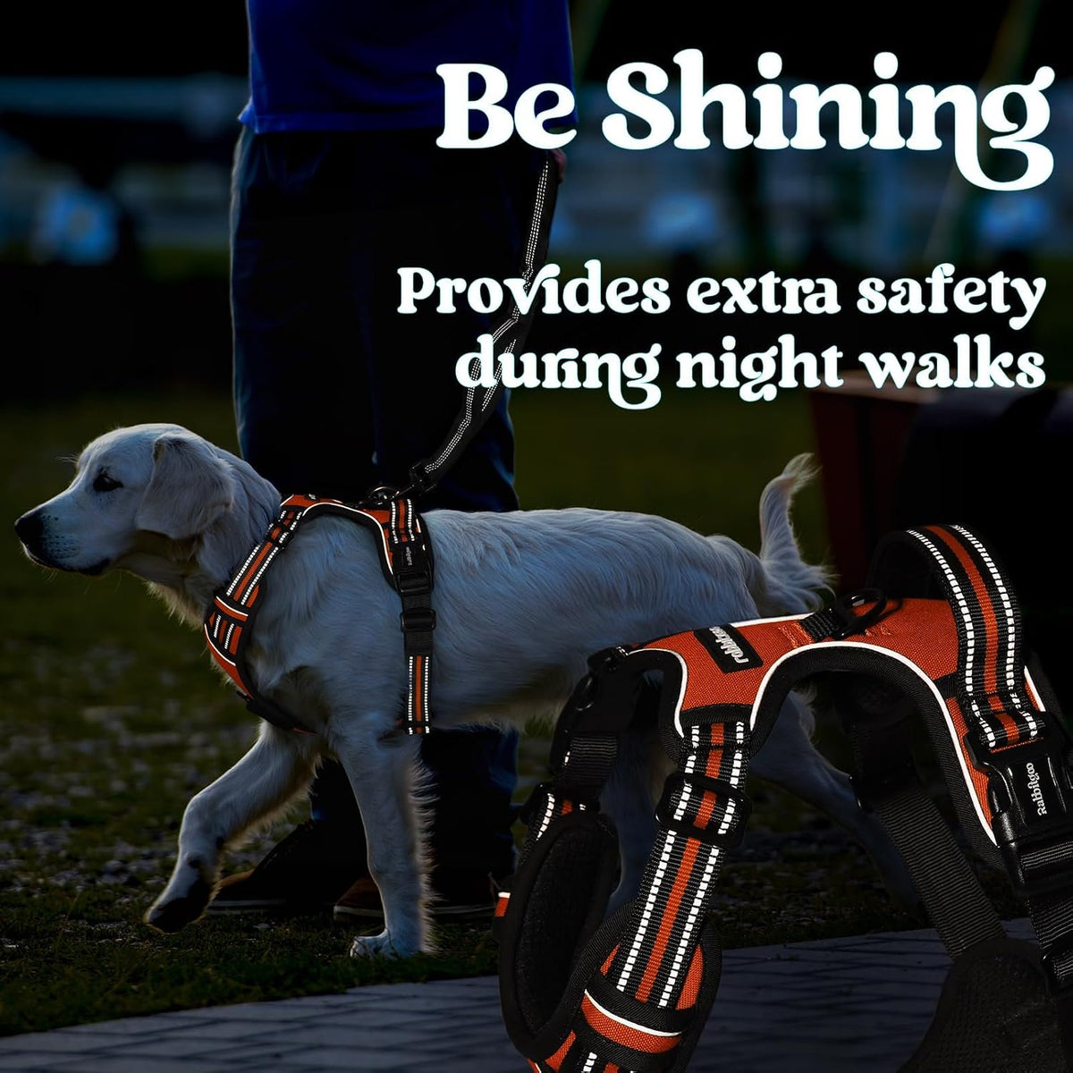 Dog Harness for Large, Updated Easy On & Off with 3 Buckles | No Pull No Choke, Walking with 2 Clips and Handle, Adjustable Soft Reflective, Blue, Large
