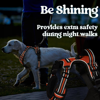 Dog Harness for Large, Updated Easy On & Off with 3 Buckles | No Pull No Choke, Walking with 2 Clips and Handle, Adjustable Soft Reflective, Blue, Large