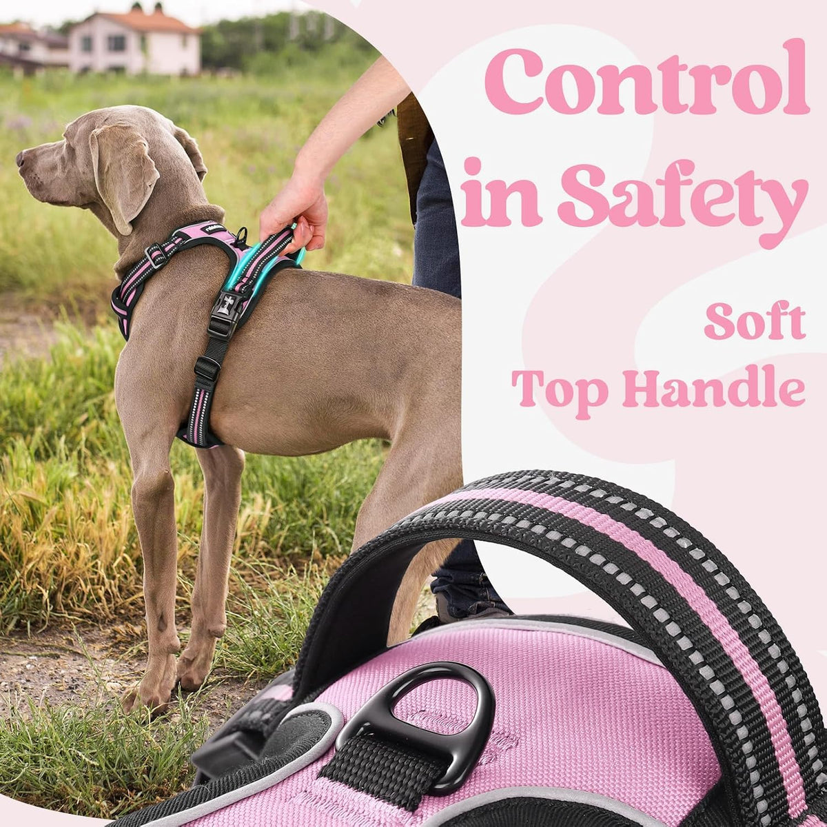 Dog Harness for Large, Updated Easy On & Off with 3 Buckles | No Pull No Choke, Walking with 2 Clips and Handle, Adjustable Soft Reflective, Blue, Large