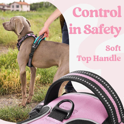 Dog Harness for Large, Updated Easy On & Off with 3 Buckles | No Pull No Choke, Walking with 2 Clips and Handle, Adjustable Soft Reflective, Blue, Large
