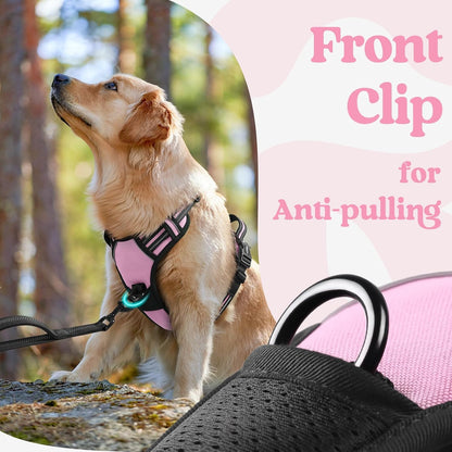 Dog Harness for Large, Updated Easy On & Off with 3 Buckles | No Pull No Choke, Walking with 2 Clips and Handle, Adjustable Soft Reflective, Blue, Large