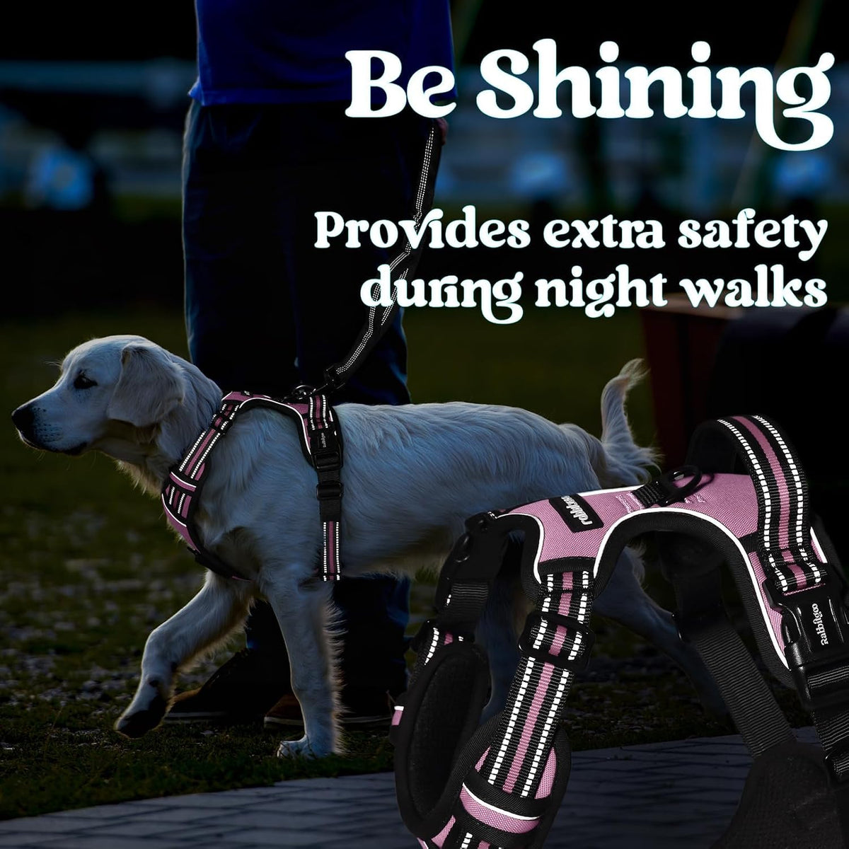 Dog Harness for Large, Updated Easy On & Off with 3 Buckles | No Pull No Choke, Walking with 2 Clips and Handle, Adjustable Soft Reflective, Blue, Large